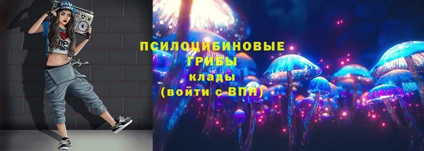тгк Алзамай