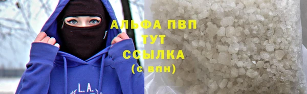 тгк Алзамай