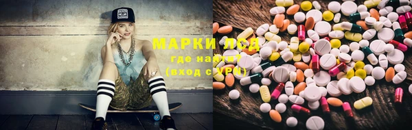 тгк Алзамай